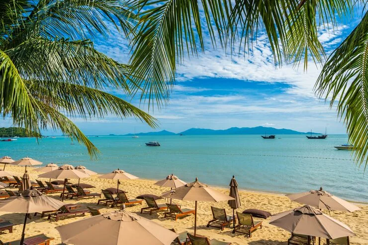 Bối Cảnh Dự Án & Yêu Cầu Vật Tư Hạ Tầng Tại Bãi Dài, Gành Dầu